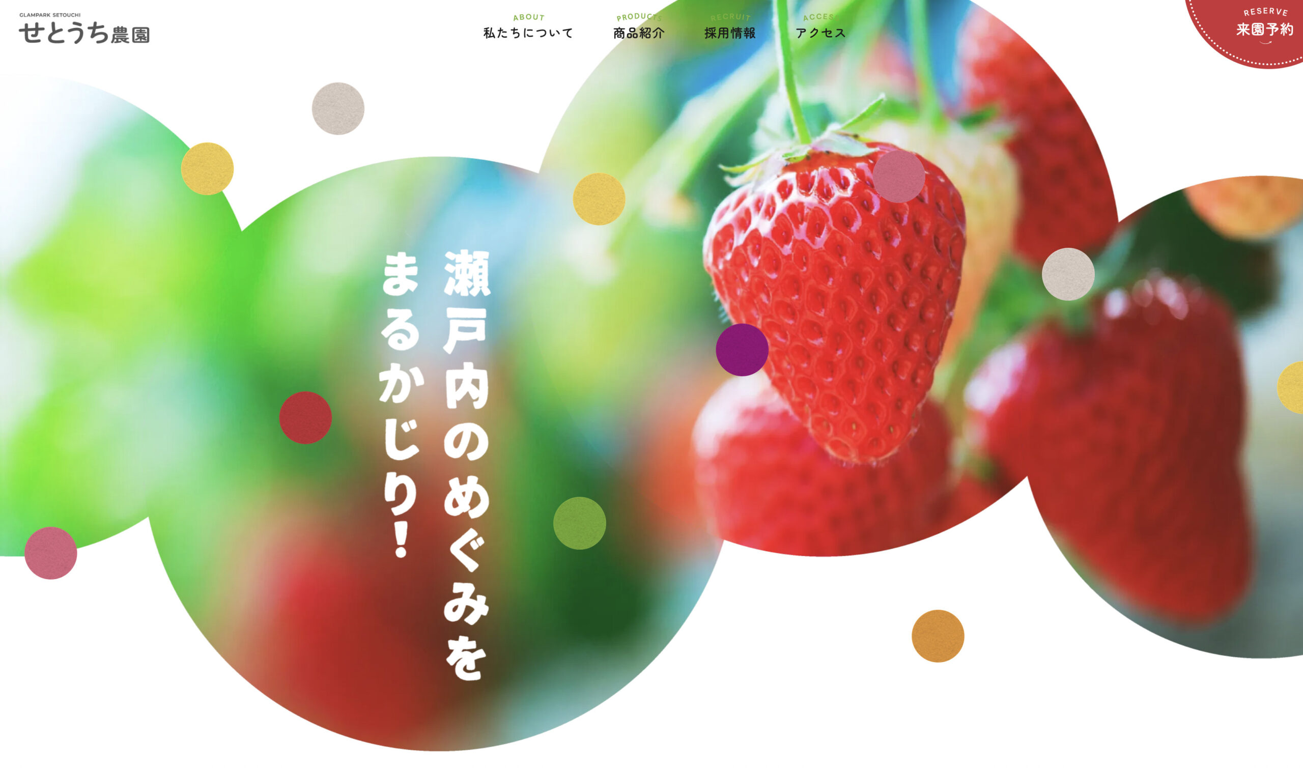 4/7より いちご狩り値下げのご案内 ｜ グランパークせとうち農園