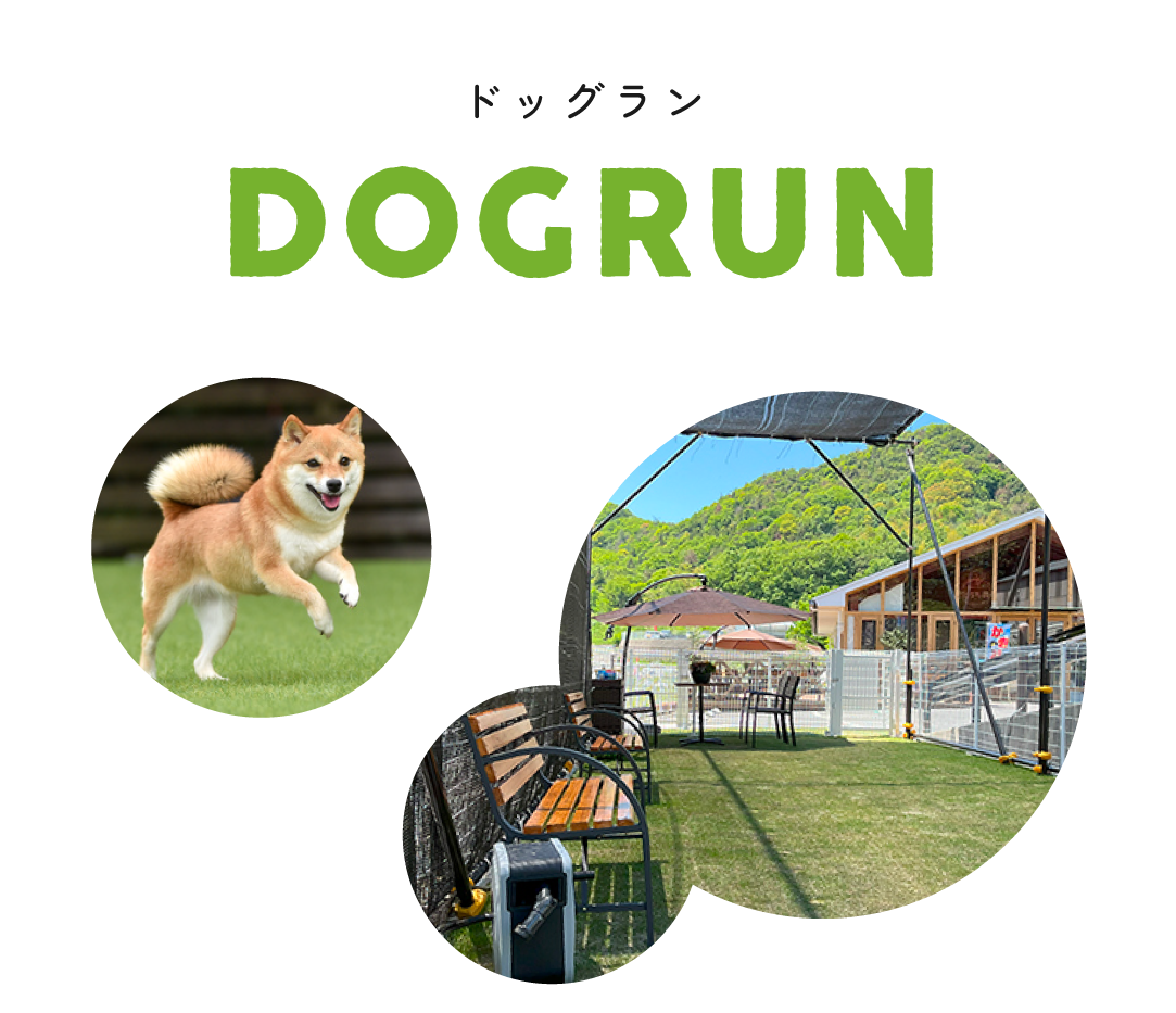 ドッグラン DOGRUN